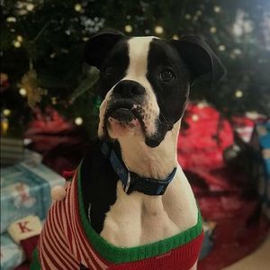 Meet your Posher, Cali